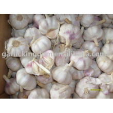 sell 2010 new crop garlic